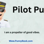 Pilot Puns