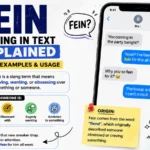 Fein Meaning in Text Explained: Origin, Examples & Usage
